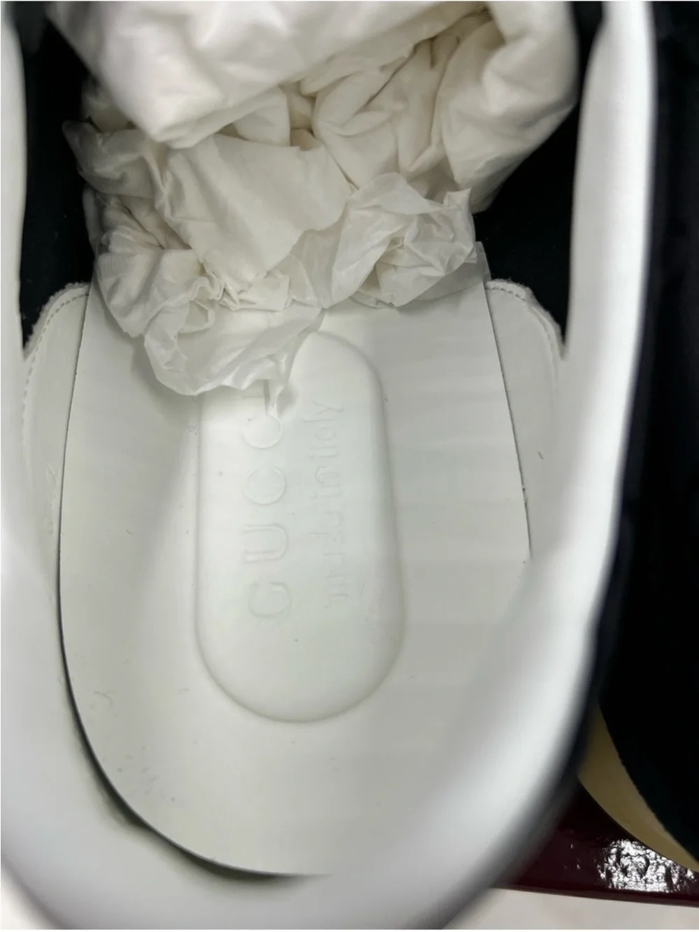 Gucci absolutely brand